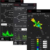 Anémomètre-girouette pour Weatherhub